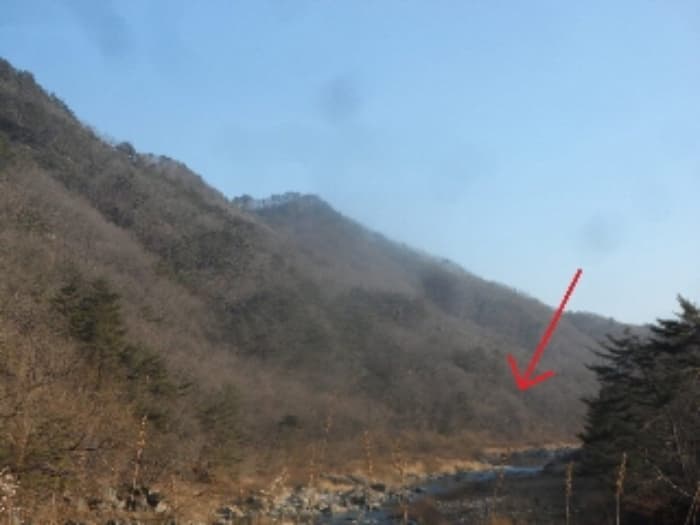 강원특별자치도 영월군 무릉도원면 운학리 산456 외 2 필지