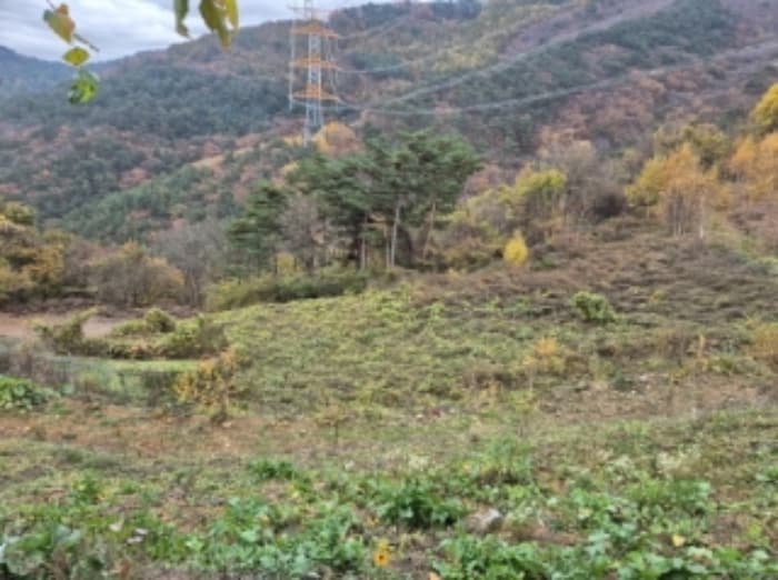 강원특별자치도 영월군 한반도면 광전리 77