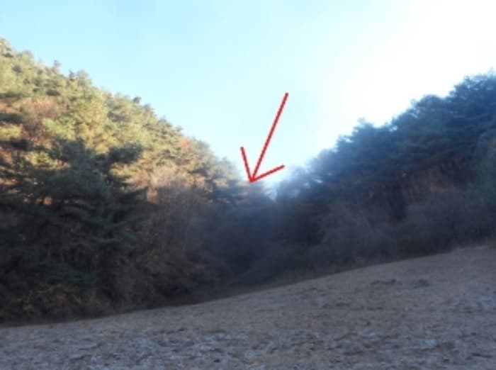 강원특별자치도 평창군 미탄면 율치리 6