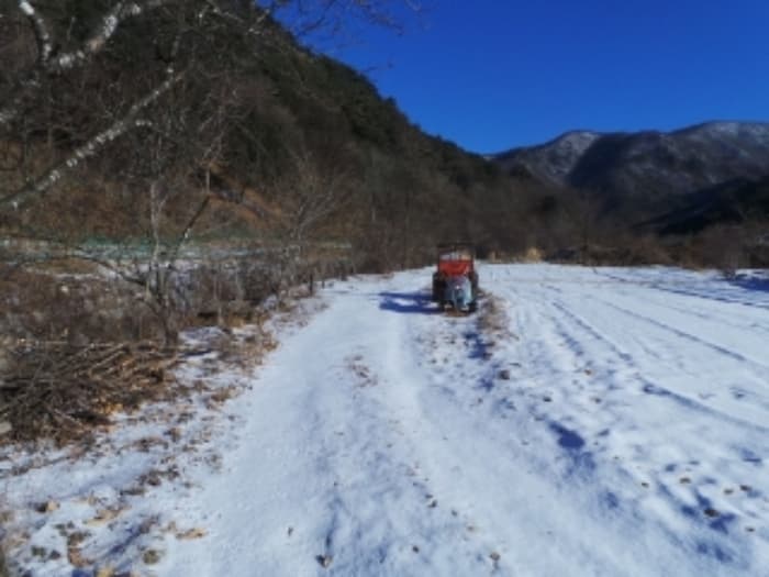 강원특별자치도 평창군 대화면 하안미리 459