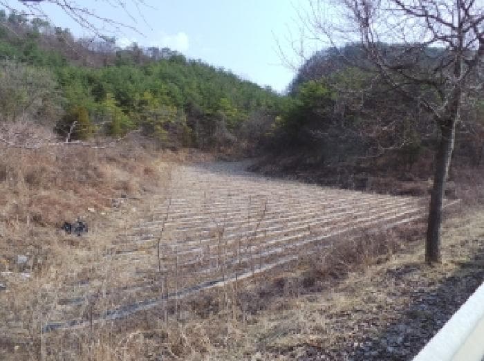 강원도 영월군 영월읍 삼옥리 1027 외 3 필지
