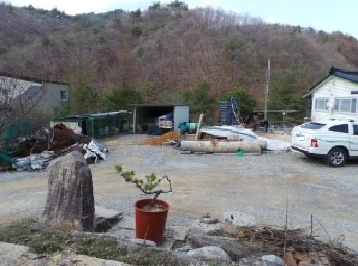 강원특별자치도 평창군 용평면 도사리 147-1 외 1 필지