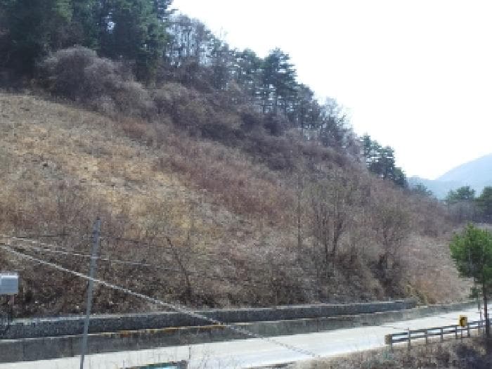 강원특별자치도 정선군 남면 무릉리 49-2