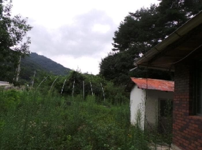 강원특별자치도 평창군 방림면 계촌리 1073 외 1 필지