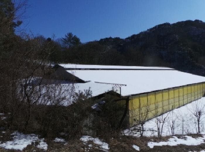 강원특별자치도 평창군 평창읍 향동리 17-1