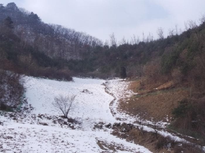 강원특별자치도 정선군 화암면 백전리 산359