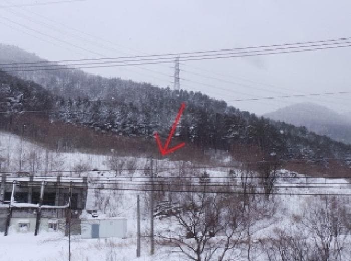 강원특별자치도 정선군 남면 무릉리 601-4