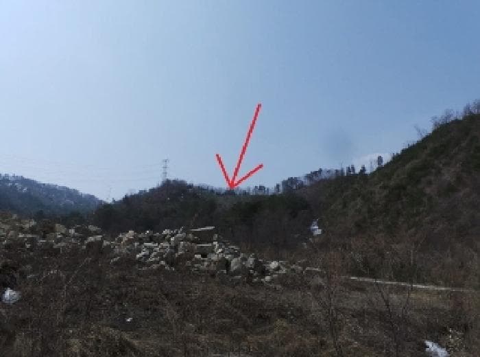 강원특별자치도 평창군 봉평면 진조리 산187