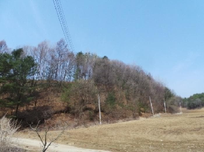 강원특별자치도 평창군 봉평면 창동리 산175-2