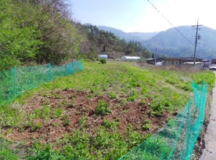 강원특별자치도 영월군 북면 공기리 1501-1