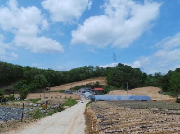 강원특별자치도 평창군 대관령면 용산리 279-18