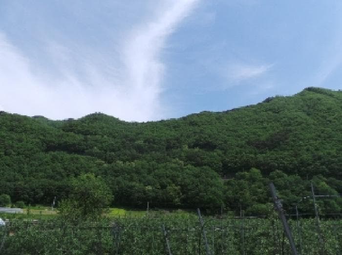 강원특별자치도 정선군 화암면 북동리 217