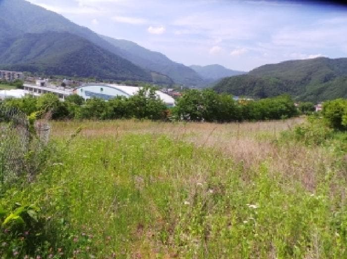 강원특별자치도 정선군 여량면 여량리 374