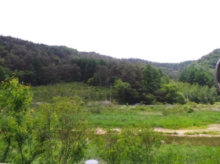 강원특별자치도 평창군 대관령면 수하리 산85-7