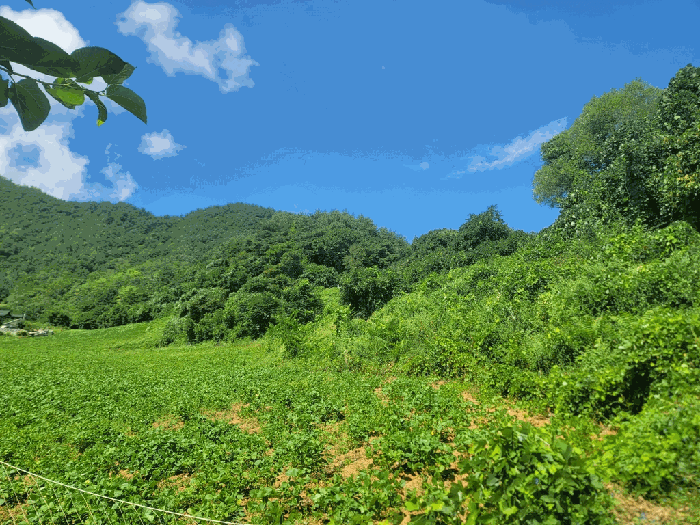 강원특별자치도 평창군 대화면 상안미리 608-2