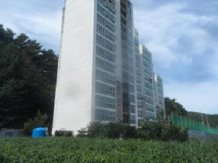 강원특별자치도 평창군 용평면 장평리 669-1  1층101호 외 3 필지 외 73개 호