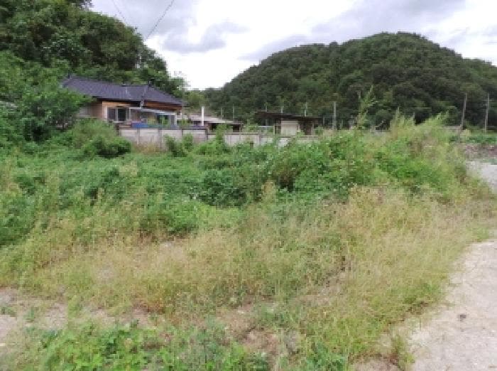 강원특별자치도 영월군 북면 문곡리 1289