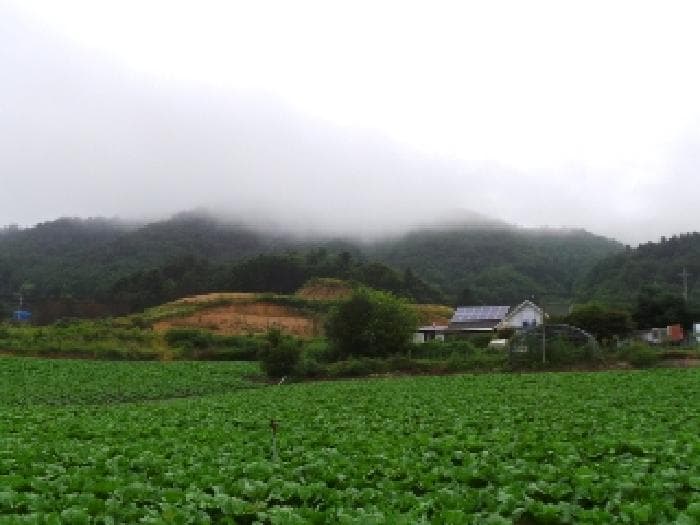 강원특별자치도 평창군 봉평면 원길리 산126 외 1 필지