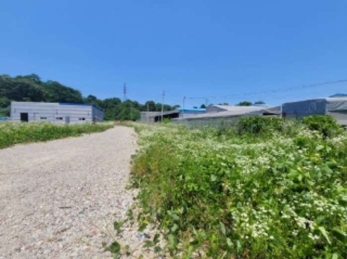 충청북도 진천군 이월면 부영길 20 (주1) 외 20 필지
