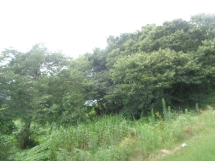 충청북도 청주시 청원구 내수읍 은곡리 281-5
