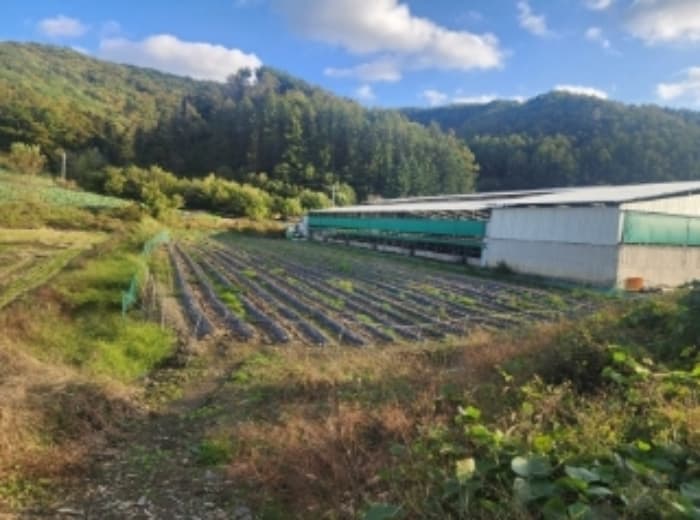 충청북도 보은군 산외면 가고리 33