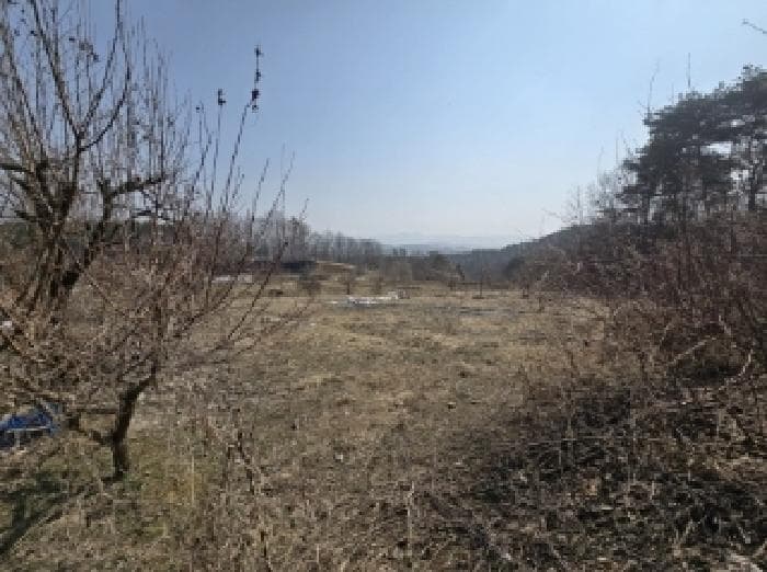 충청북도 청주시 상당구 남일면 가산리 372-1 외 2 필지