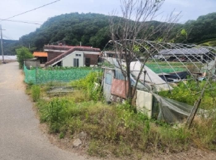 충청북도 진천군 초평면 금곡리 557-5