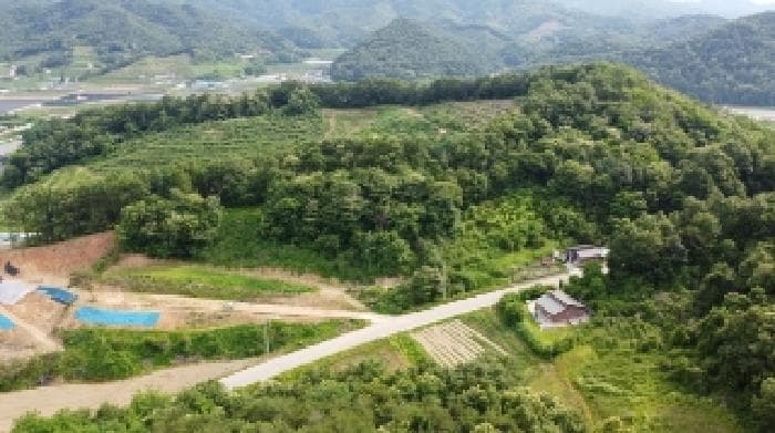 충청북도 괴산군 불정면 웅동리 산41-5