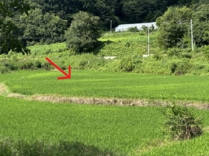 충청북도 증평군 도안면 노암리 119-3
