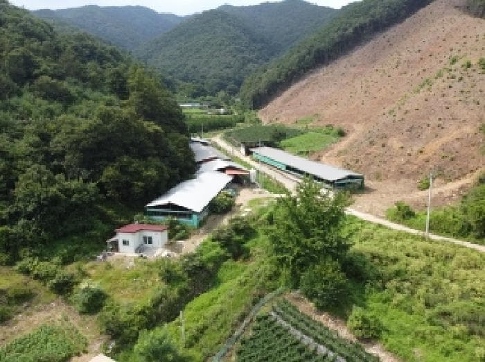충청북도 청주시 상당구 미원면 대덕리 117-1 외 5 필지 외 4개 동