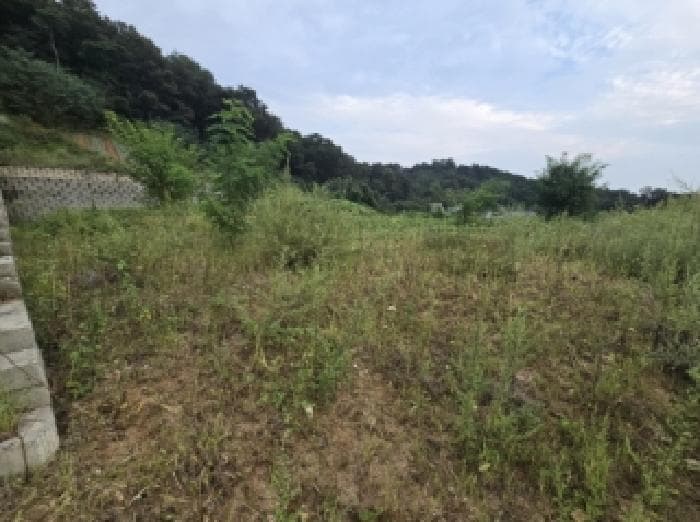 충청북도 진천군 광혜원면 금곡리 산6-2 외 25 필지