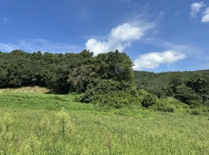 충청북도 괴산군 청안면 문당리 247 가동