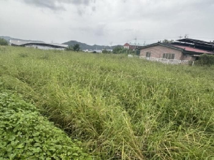 충청북도 청주시 청원구 북이면 장양리 391 외 2 필지