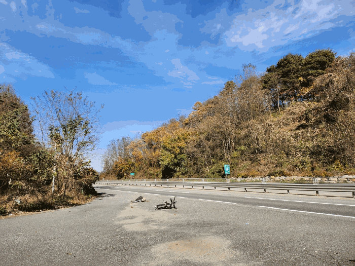 충청북도 괴산군 칠성면 두천리 산20-8 외 9 필지