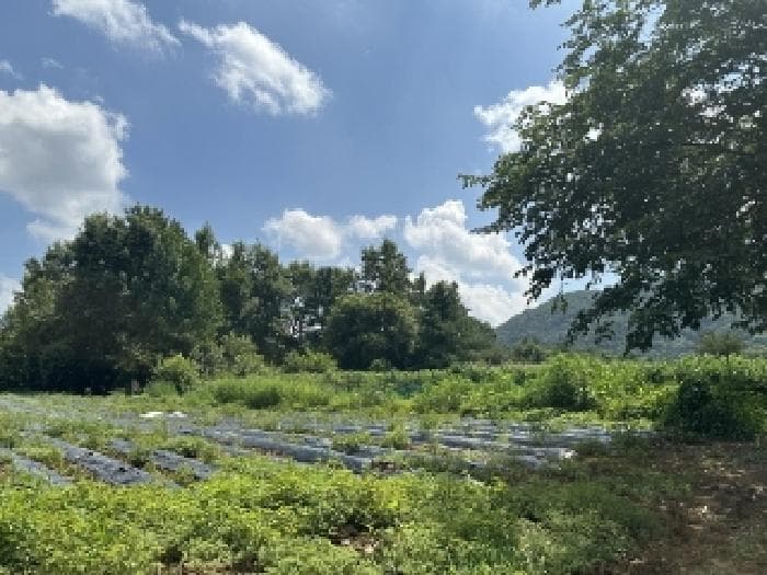 충청북도 괴산군 청천면 후영리 산21
