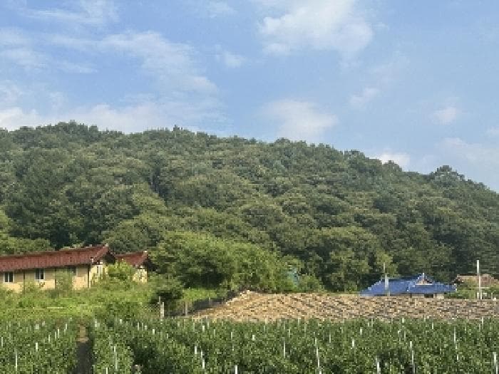 충청북도 괴산군 청안면 운곡리 산29-2 외 1 필지