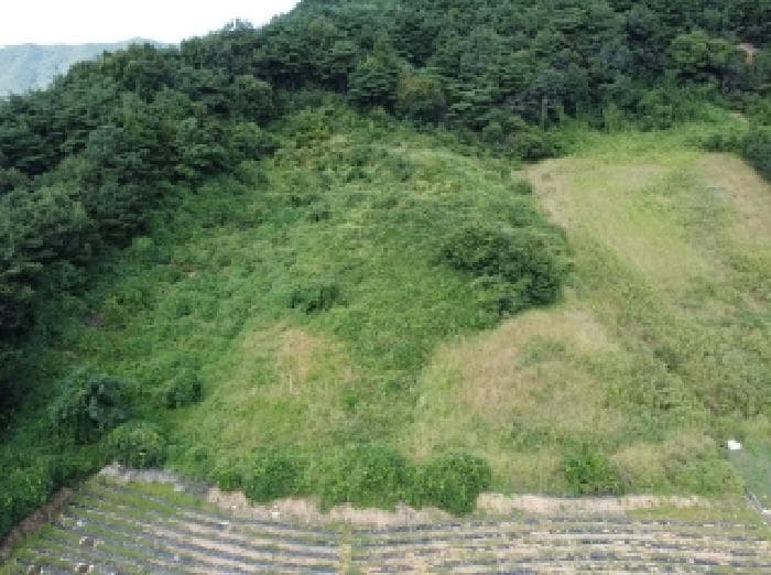 충청북도 보은군 산외면 백석리 8-18