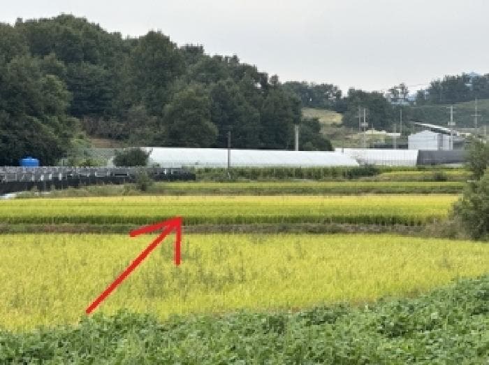 충청북도 증평군 증평읍 사곡리 132