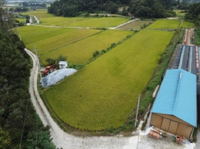 충청북도 보은군 탄부면 벽지리 300