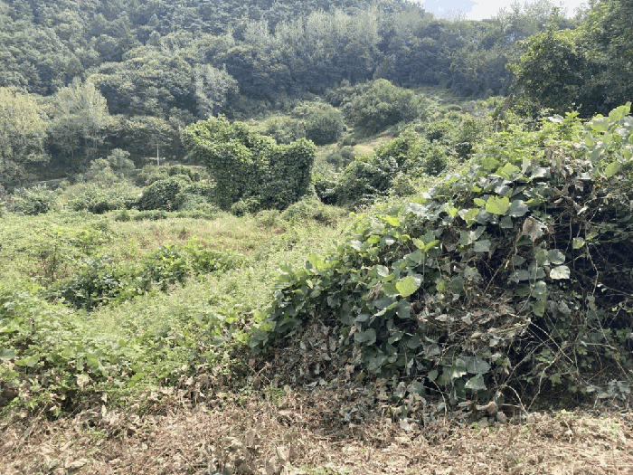 충청북도 괴산군 괴산읍 서부리 567-5