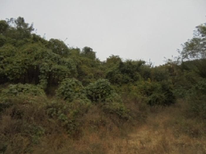 충청북도 청주시 상당구 남일면 송암리 산24-40