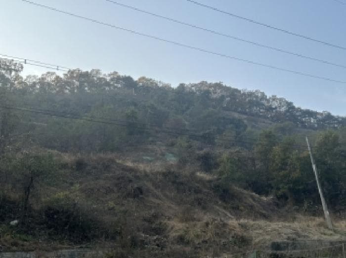 충청북도 괴산군 괴산읍 신기리 산18-17 외 2 필지
