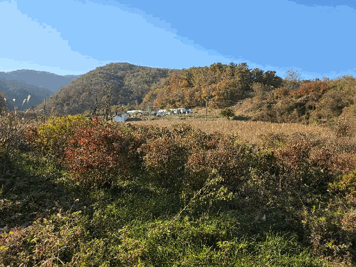 충청북도 괴산군 청천면 금평리 70-5