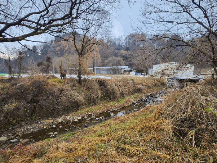 충청북도 괴산군 괴산읍 서부리 67 외 2 필지