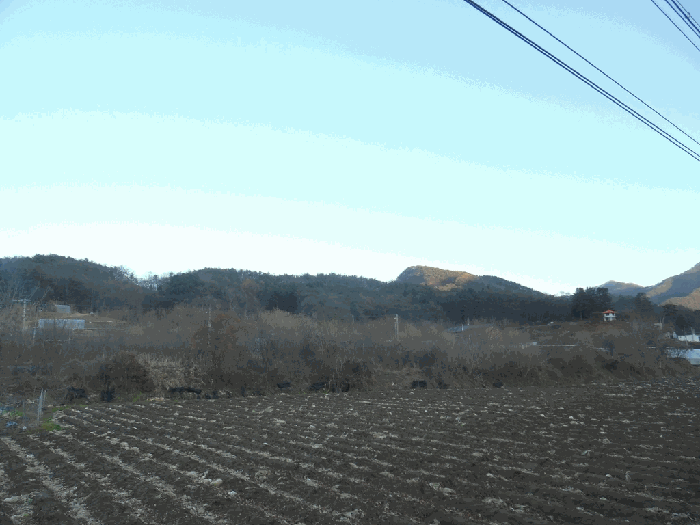 충청북도 괴산군 청천면 지촌리 63