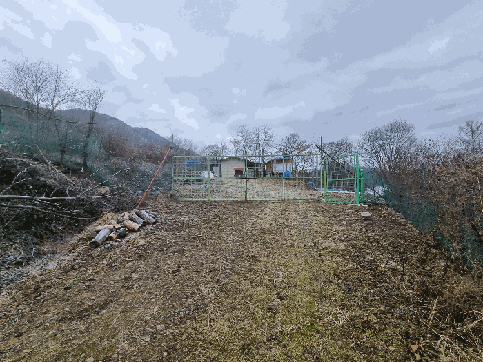 충청북도 보은군 탄부면 성지리 산26-2