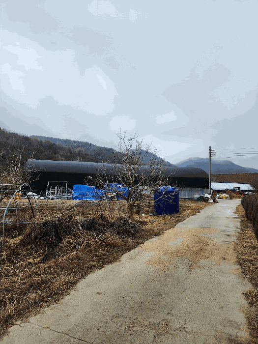 충청북도 괴산군 불정면 신흥리 649 외 1 필지