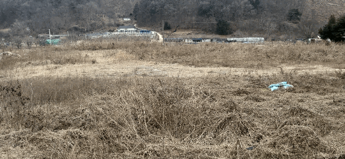 충청북도 괴산군 청안면 부흥리 65-1