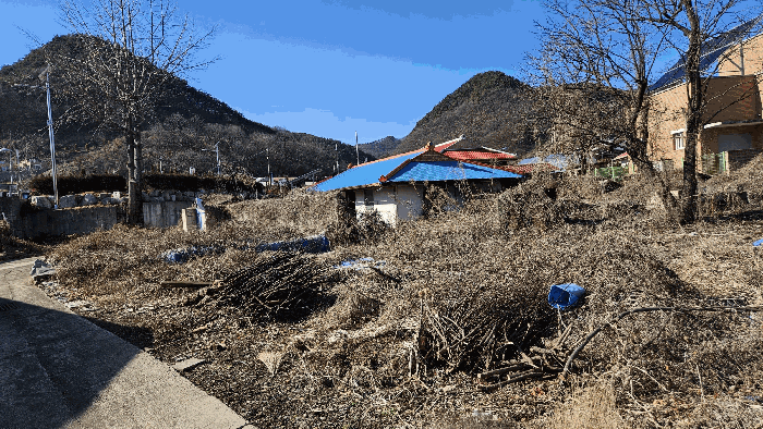 충청북도 보은군 회인면 중앙리 20-3