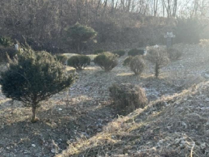 충청북도 괴산군 문광면 문법리 476